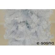 Белая елка София 150