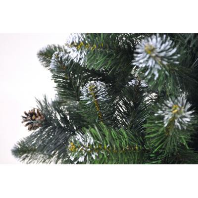 Ялинка Європейська з Шишками 120 Ялинка Європейська з Шишками 120