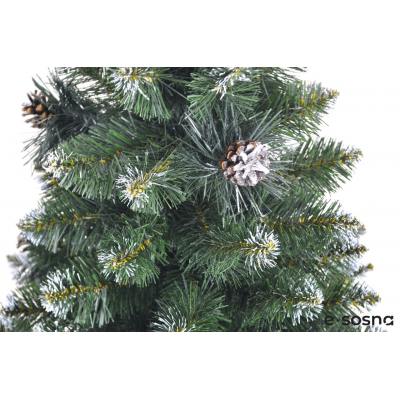Ялинка Європейська з Шишками 120 Ялинка Європейська з Шишками 120