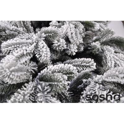 Лита ялинка Карпатська 215 засніжена Лита ялинка Карпатська 215 засніжена