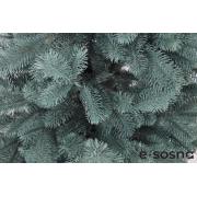 Лита ялинка Карпатська 185 блакитна