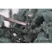 Лита ялинка Карпатська 185 блакитна