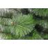 Штучна сосна Новорічна Зелена 180 Штучна сосна Новорічна Зелена 180