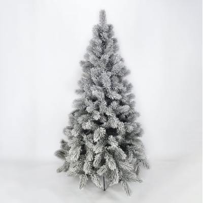 Лита сосна Карпатська 220 засніжена Лита сосна Карпатська 220 засніжена