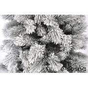 Лита сосна Карпатська 180 засніжена