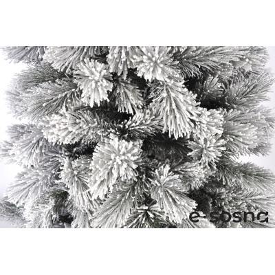 Лита сосна Карпатська 220 засніжена Лита сосна Карпатська 220 засніжена