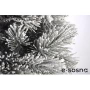 Лита сосна Карпатська 180 засніжена