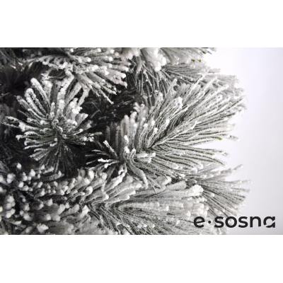 Лита сосна Карпатська 220 засніжена Лита сосна Карпатська 220 засніжена