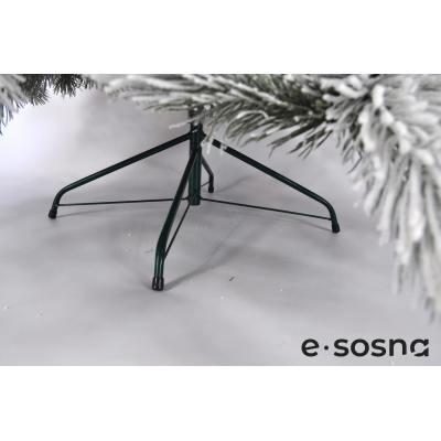 Лита сосна Карпатська 220 засніжена Лита сосна Карпатська 220 засніжена