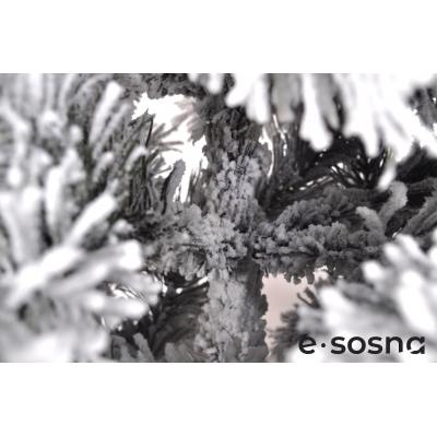 Лита сосна Карпатська 220 засніжена Лита сосна Карпатська 220 засніжена