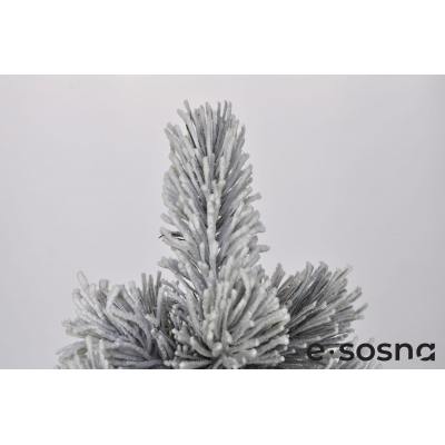 Лита сосна Карпатська 220 засніжена Лита сосна Карпатська 220 засніжена