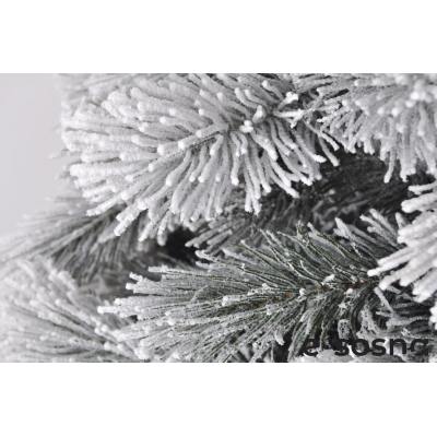 Лита сосна Карпатська 220 засніжена Лита сосна Карпатська 220 засніжена